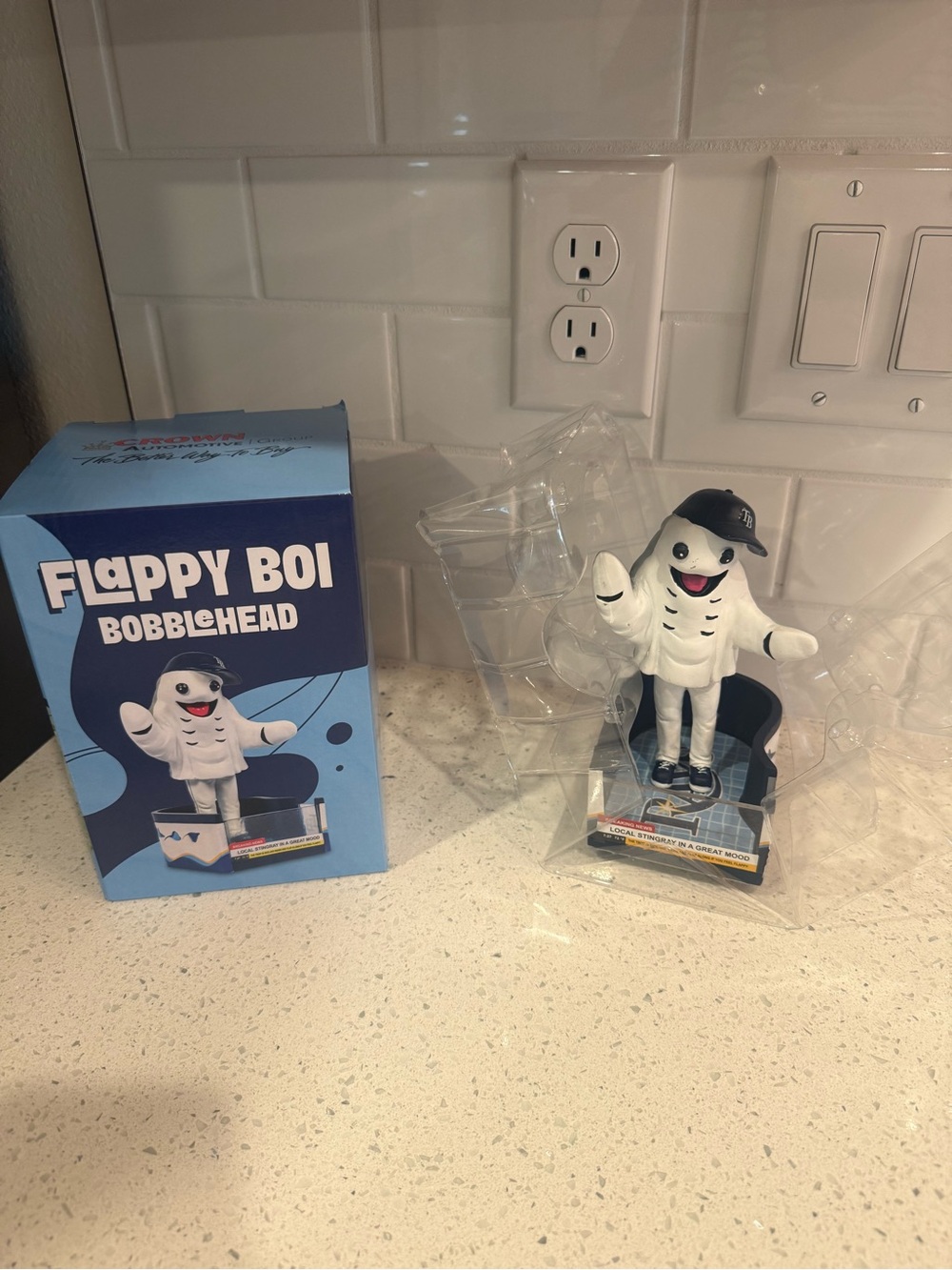 Tampa Bay Rays Baseball Floppy Boi Bobblehead NEW IN BOX
